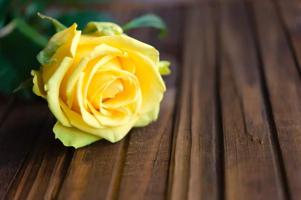 Background Yellow Rose Wooden Table — Stock Photo, Image