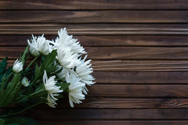 Χρυσάνθεμα Λευκά Λουλούδια Ξύλινο Φόντο — Φωτογραφία Αρχείου