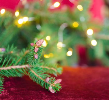 Noel arkaplanı, yeşil çam dalları, şenlik arka planı. Sınır ve kopyalama alanı ile yaratıcı bileşim. Ampullerden gelen bokeh ışıklarıyla Noel süslemesi