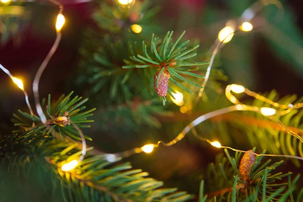 Weihnachten Hintergrund Grüne Tannenzweige Festlichen Hintergrund Kreative Komposition Mit Rahmen — Stockfoto