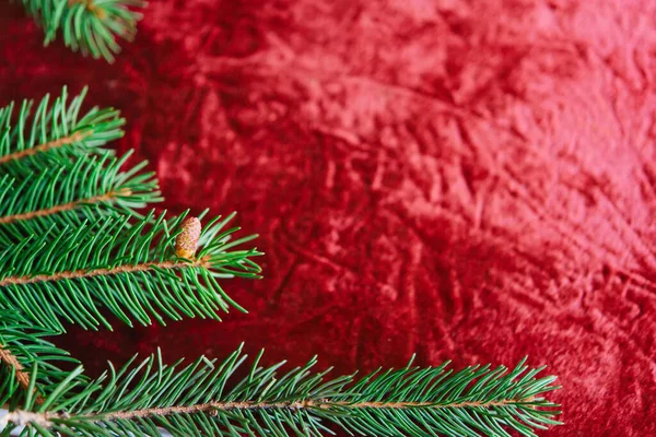 クリスマスの背景 緑の松の枝お祝いの背景 境界線とコピースペースと創造的な組成 電球からのボケライトとクリスマスの装飾 — ストック写真