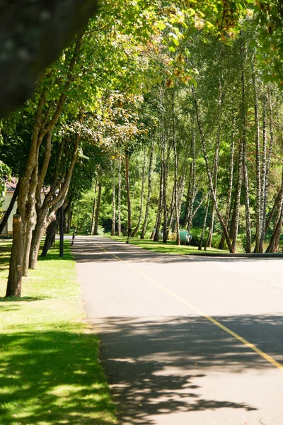 公園の緑の木々 の路地 — ストック写真