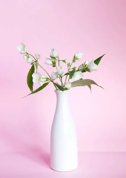 분홍색 배경에 세라믹 꽃병에 재스민이 스칸디나비아 인테리어 디자인 도살아 — 스톡 사진
