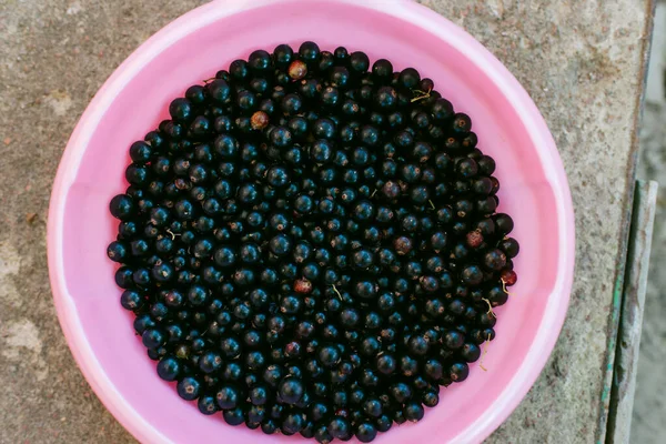 Schwarze Johannisbeere Hintergrund Frische Ganze Beeren Von Reifen Johannisbeeren — Stockfoto