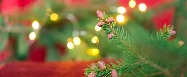 Christbaum Und Weihnachtsschmuck — Stockfoto