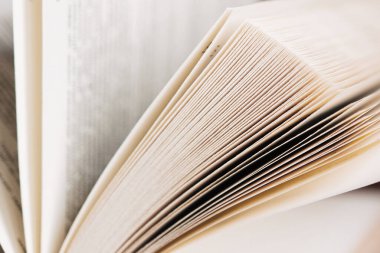 Yükseltilmiş sayfaları olan açık bir kitap. Bilginin ve bilgeliğin gücü. Metnin için yer.