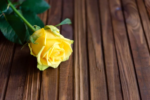 Background Yellow Rose Wooden Table — Stock Photo, Image