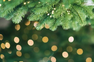 Noel ağacı ve Noel süslemeleri.