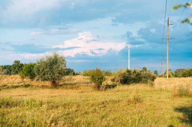 Taze yeşil yapraklı büyük ağaçlı yaz çayırı. Güneşli bir gün.
