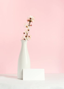 Masanın üzerinde çiçek açan kayısı dalı olan beyaz bir vazo. Arka planda hassas pembe bir arka plan var. Metin için yeri olan minimalist kavram.