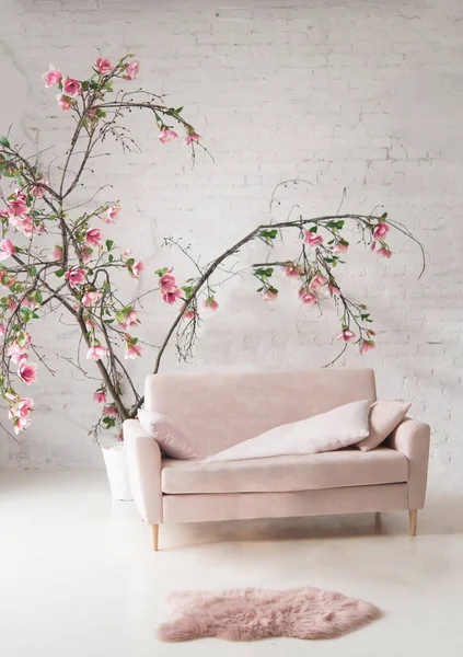 Sofá Rosa Interior Flores Grandes Maceta Son Una Planta Interior — Foto de Stock