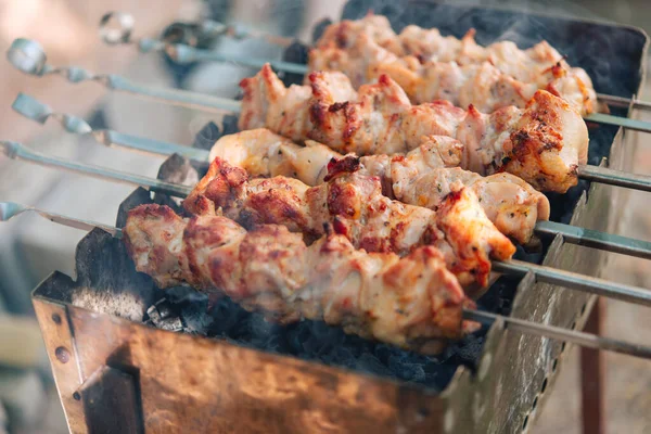 Brochetas Carne Parrilla Carne Parrilla Barbacoa Picnic Barbacoa Tradicional Aire —  Fotos de Stock