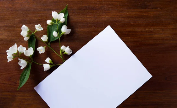 Schöne Weiße Jasminblüten Postkarte Blick Von Oben Kopierraum Für Die — Stockfoto