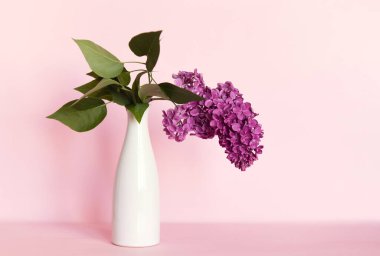 Pembe arka planda vazoda çiçek açan leylak dalı..
