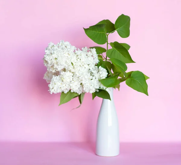 Branche Lilas Fleurs Dans Vase Sur Fond Rose — Photo