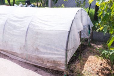 Bahçede ev yapımı sera