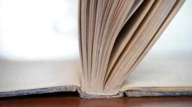 Yükseltilmiş sayfaları olan açık bir kitap. Bilginin ve bilgeliğin gücü