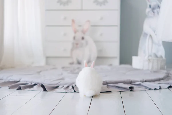 Schattig Wit Konijntje Klein Konijntje Liegt — Stockfoto