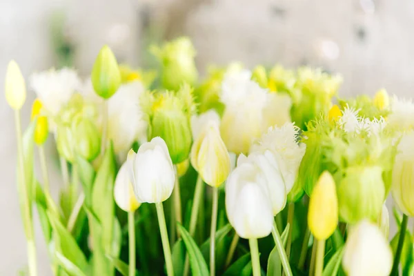 Egy Csokor Tulipán Húsvéti Tavaszi Kártya — Stock Fotó