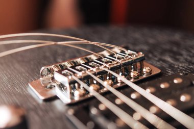 Elektro gitarın tellerini değiştirmek. Müzik teması.