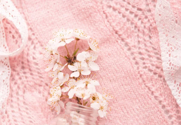 Flores Cereja Pequeno Vaso Vidro Delicado Fundo Malha Rosa — Fotografia de Stock