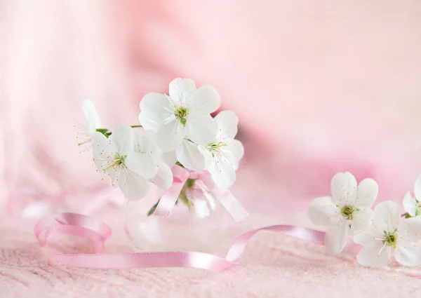 Άνθη Κερασιάς Ένα Μικρό Γυάλινο Βάζο Λεπτό Ροζ Πλεκτό Φόντο — Φωτογραφία Αρχείου