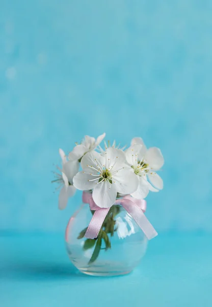 Schöne Weiße Kirschblüte Auf Blauem Hintergrund Frühlingskonzept — Stockfoto