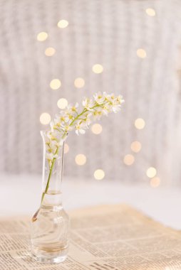 Yanında güzel beyaz kirazlı cam vazo, gazete. Bokeh ile birlikte hafif kartpostal arkaplanı.