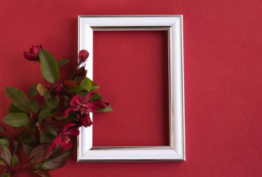 Güzel bir çiçek aranjmanı. Açık pembe çiçekler, boş fotoğraf çerçevesi kırmızı arkaplandaki mesajlar için. Düğün için. Doğum günü. Sevgililer Günü. Anneler Günü. Üst görünüm, boşluk kopyala