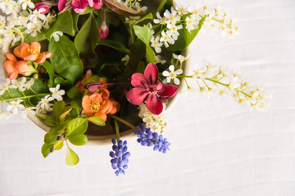 Άνοιξη Ανθίζει Λεπτή Λουλούδια Ένα Στρογγυλό Βάζο Ένα Τραπέζι Ένα — Φωτογραφία Αρχείου