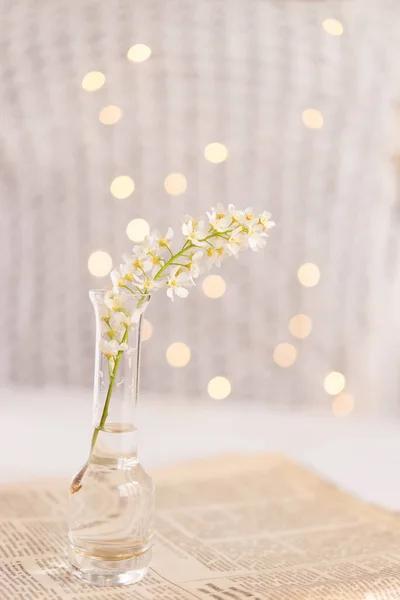Glass Vase Beautiful Blooming White Bird Cherry Newspaper Next Light — Stock fotografie