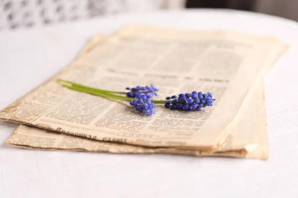 Trois Branches Avec Petites Fleurs Violettes Appartiennent Vieux Journal Fond — Photo