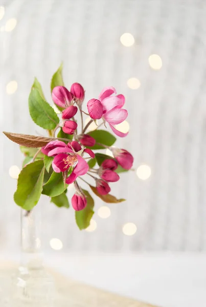 Glass Vase Beautiful Blooming Rose Branches Newspaper Next Light Postcard — 스톡 사진