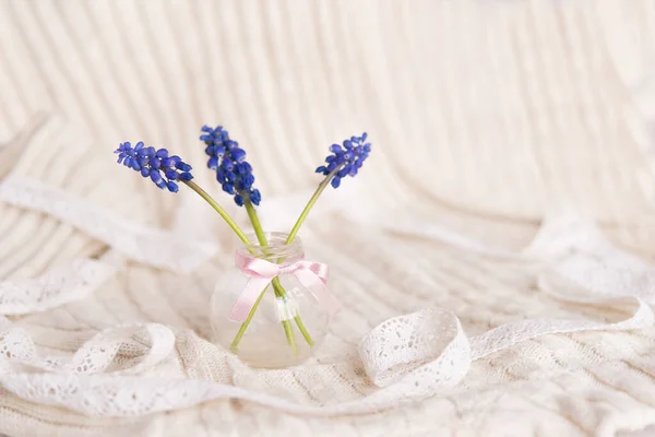 Trois Brindilles Aux Petites Fleurs Violettes Sur Délicat Fond Pastel — Photo