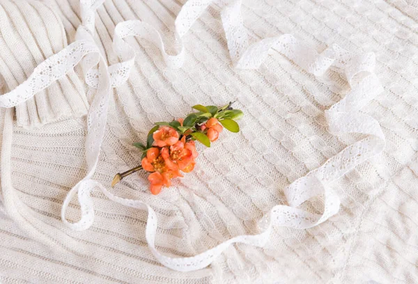 Twig Delicate Bright Orange Roselle Lace Flowers Delicate Pastel Background — Stok fotoğraf