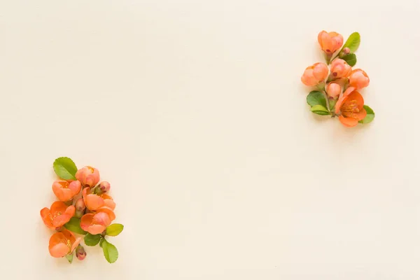 Beautiful Flower Arrangement Bright Orange Flowers Free Space Text Light — Stok fotoğraf
