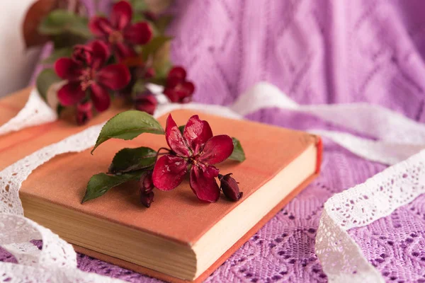 Vieux Livre Avec Des Petites Fleurs Rouges Sur Fond Lilas — Photo