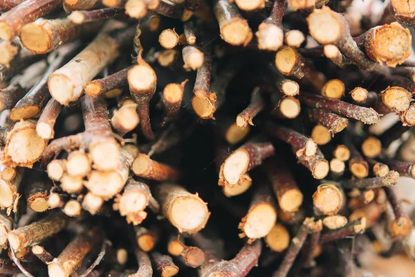 Cerrar Montón Madera Pincel Delgadas Ramitas Secas Para Encender Fuego — Foto de Stock