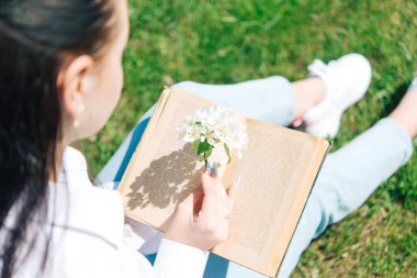 Beyaz bluzlu ve kot pantolonlu kız. Çiçekli bir ağacın yanında oturup kitap okumak..