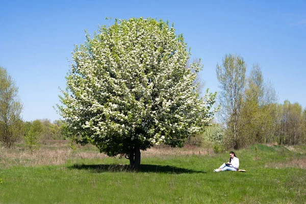 Pige Hvid Bluse Blå Jeans Sidder Nærheden Blomstrende Træ Læser - Stock-foto