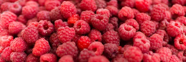 Ahududu. Taze organik böğürtlen Meyve arkaplanı.