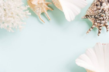 Mavi arkaplandaki çeşitli kabuklardan çerçeve. Pastel arka planda deniz kabukları ve mercanlar. tatil konsepti. Düz yatıyordu. Üst görünüm.