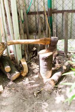 Balta bir ağaç kütüğüne bırakılmış. Eski paslı balta.