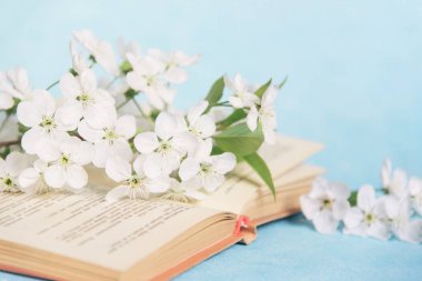Mavi arka planda beyaz çiçekli eski bir kitap.