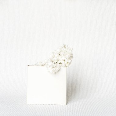 Beyaz vazoda bir buket leylak. Beyaz iç mekan.