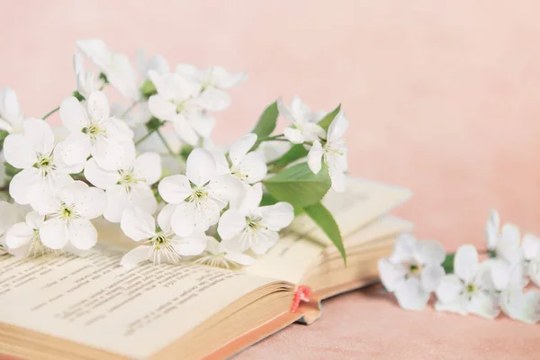 Vieux Livre Ouvert Avec Des Petites Fleurs Blanches Sur Fond — Photo