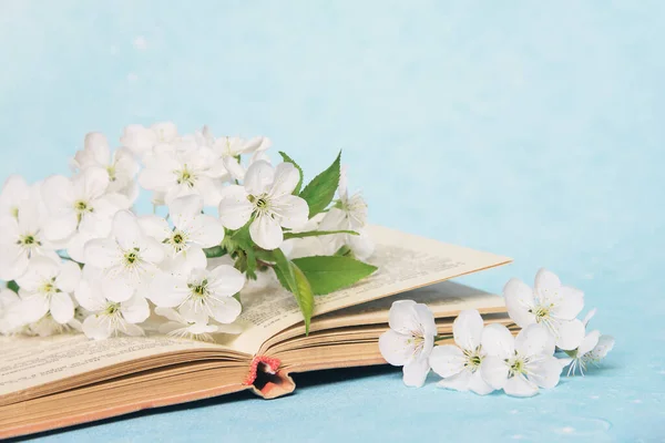 Vieux Livre Aux Fleurs Blanches Sur Fond Bleu — Photo