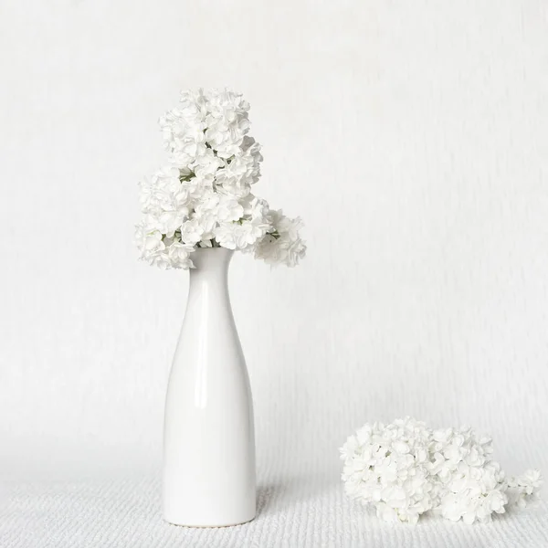 Bouquet White Lilacs White Vase White Interior — Stock Photo, Image