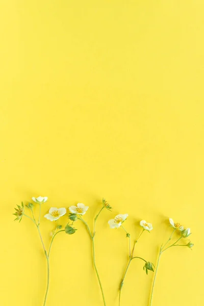 Primavera Flores Brancas Flor Morango Fundo Papel Amarelo — Fotografia de Stock