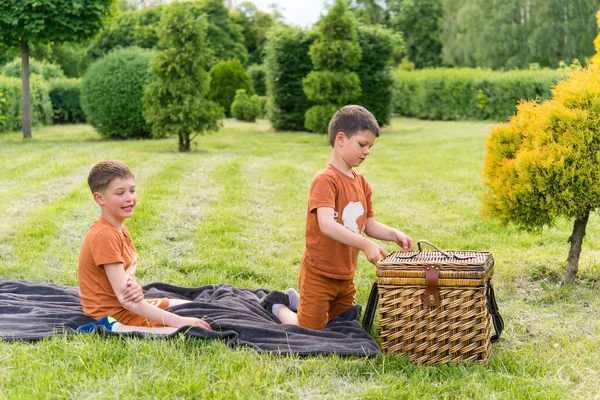 Glada Barn Pojkar Bröder Utomhus Sommaren Med Picknickkorg — Stockfoto